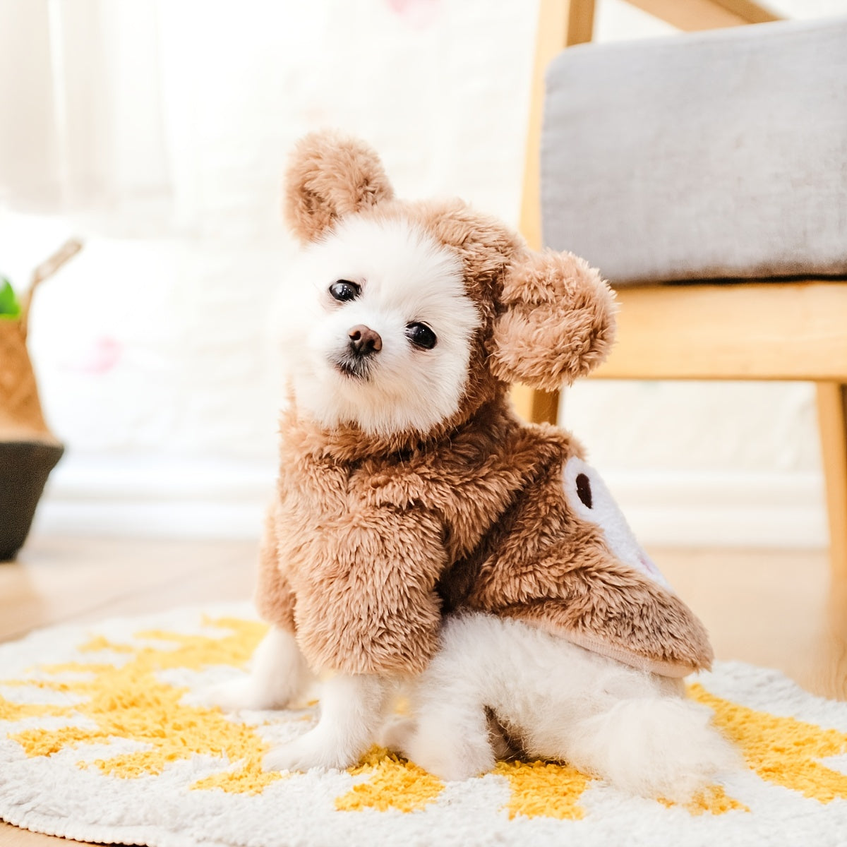 TEDDY BEAR COSTUME