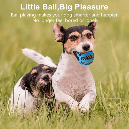 Dog Chew & Treat Ball