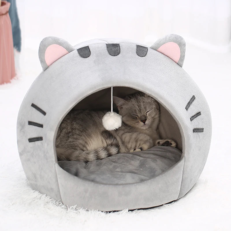 Kitten warm cave
