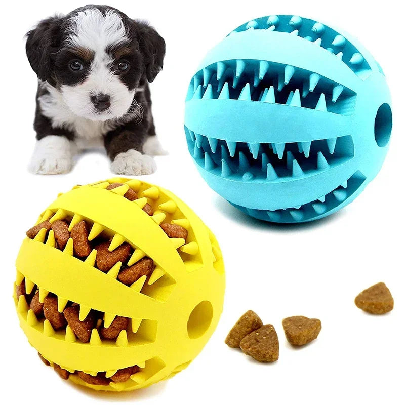 Dog Chew & Treat Ball