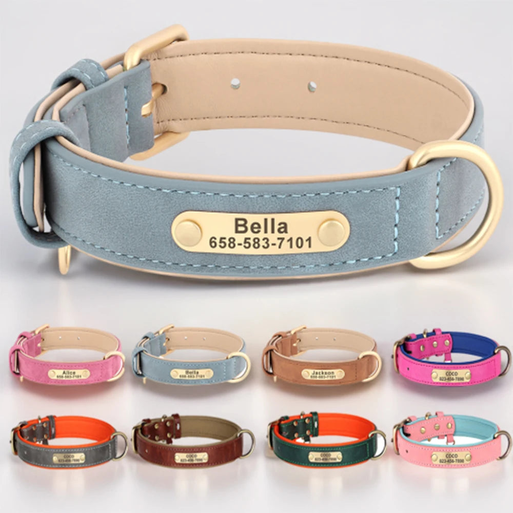 Dogs Custom ID Tag