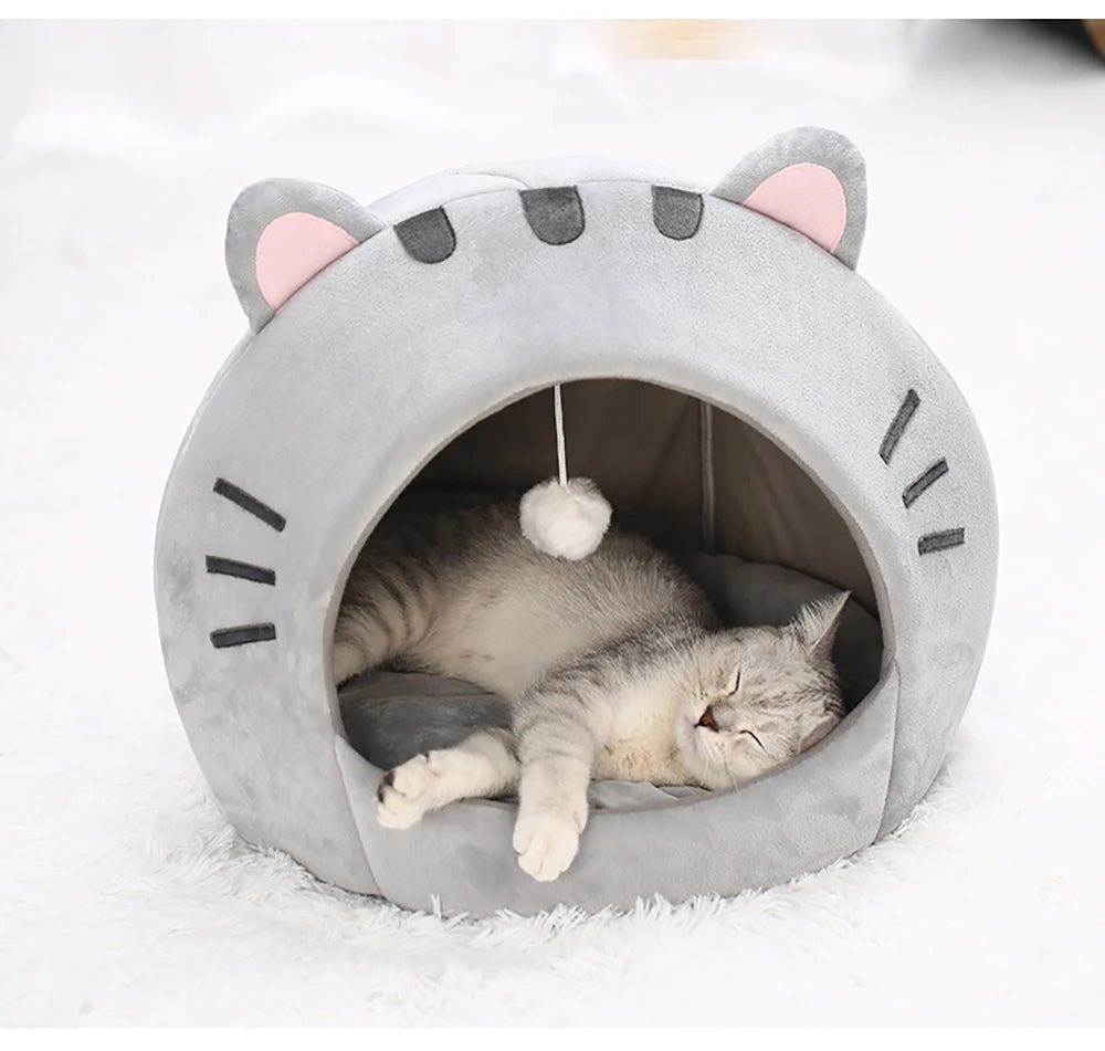 Kitten warm cave