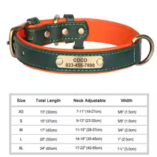 Dogs Custom ID Tag