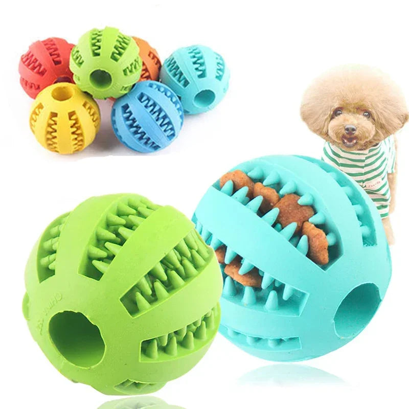 Dog Chew & Treat Ball