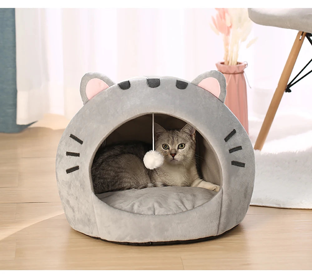 Kitten warm cave