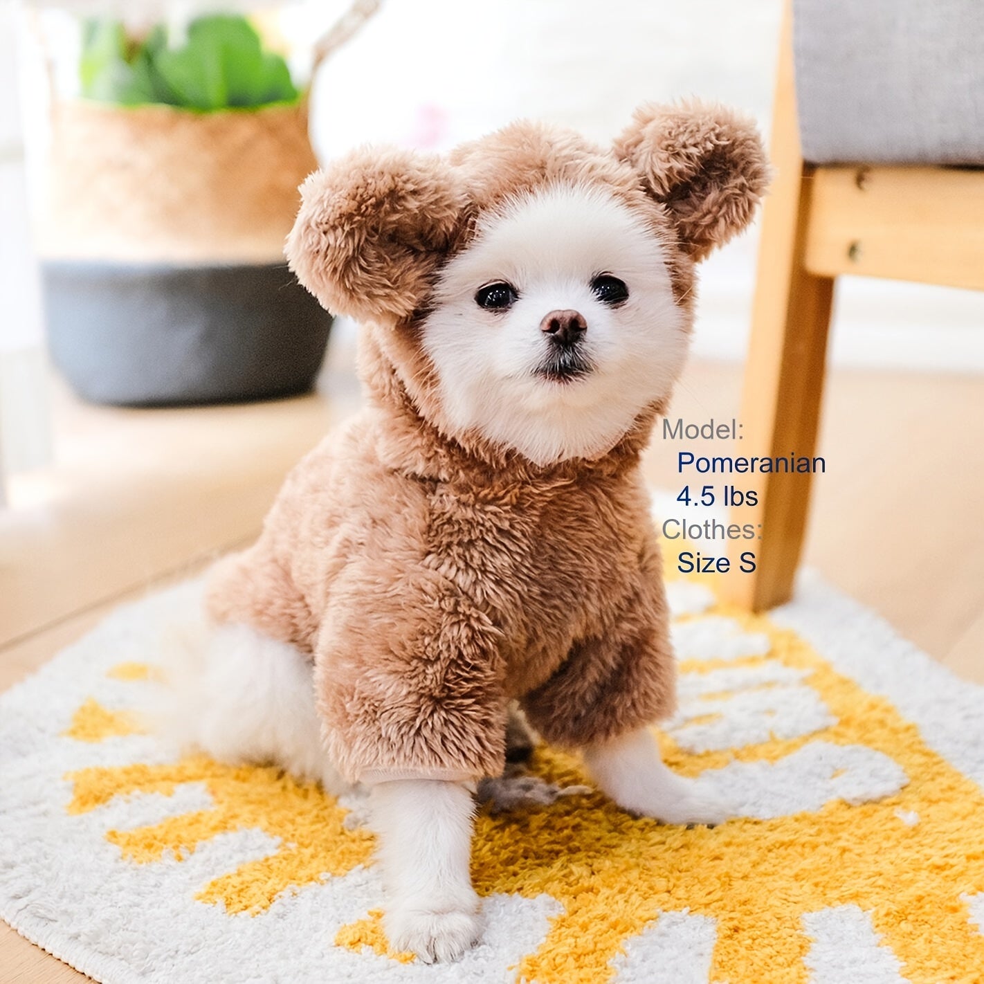 TEDDY BEAR COSTUME