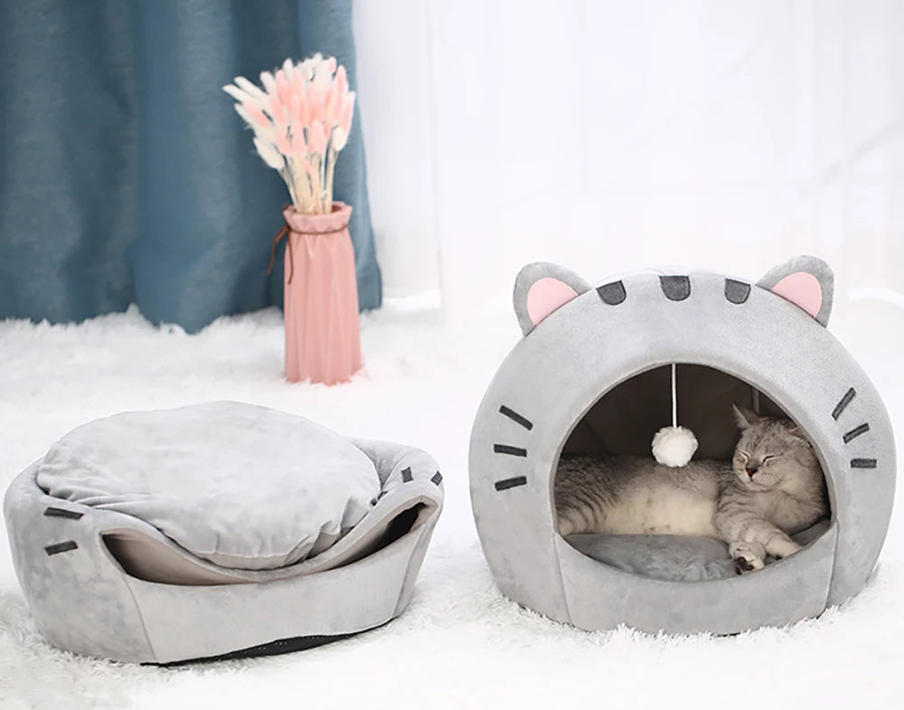 Kitten warm cave