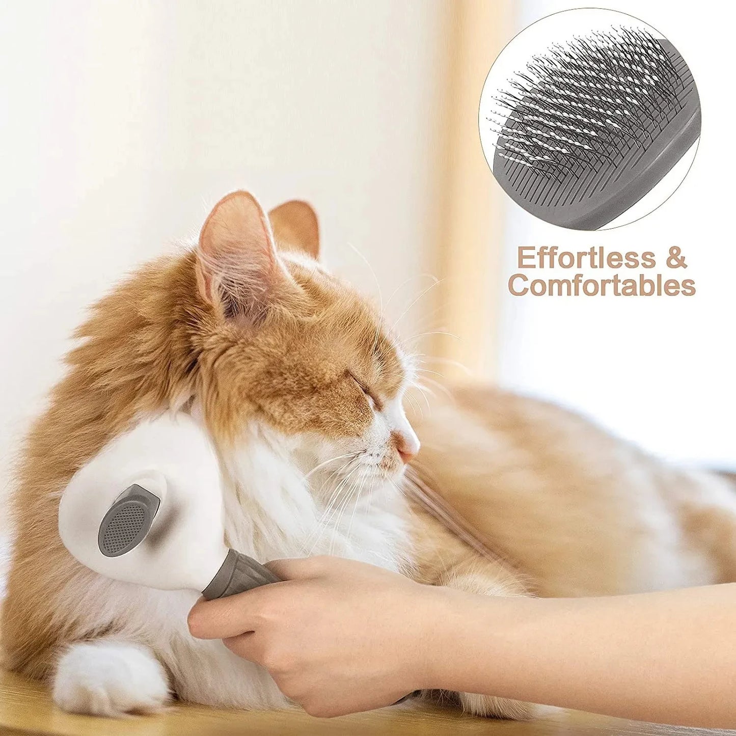 CleanPaws Brush