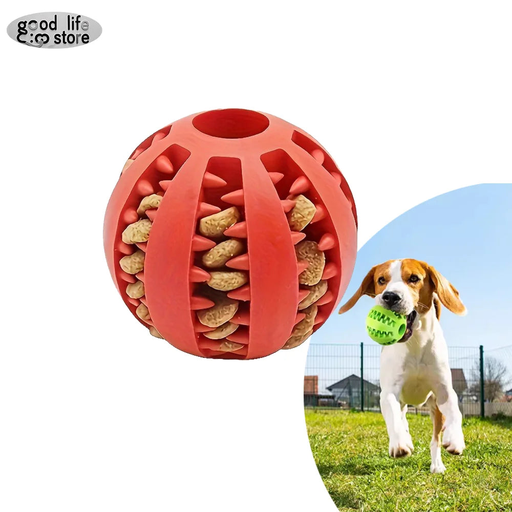 Dog Chew & Treat Ball