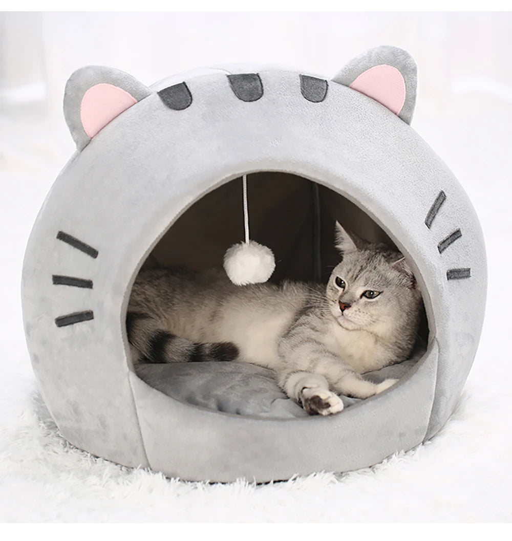 Kitten warm cave