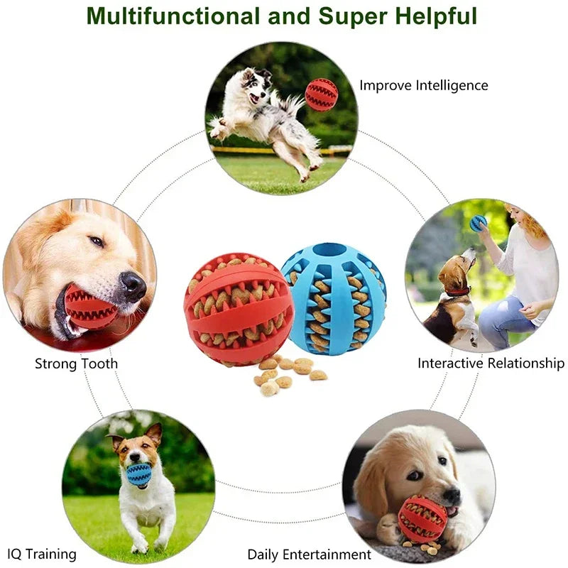 Dog Chew & Treat Ball