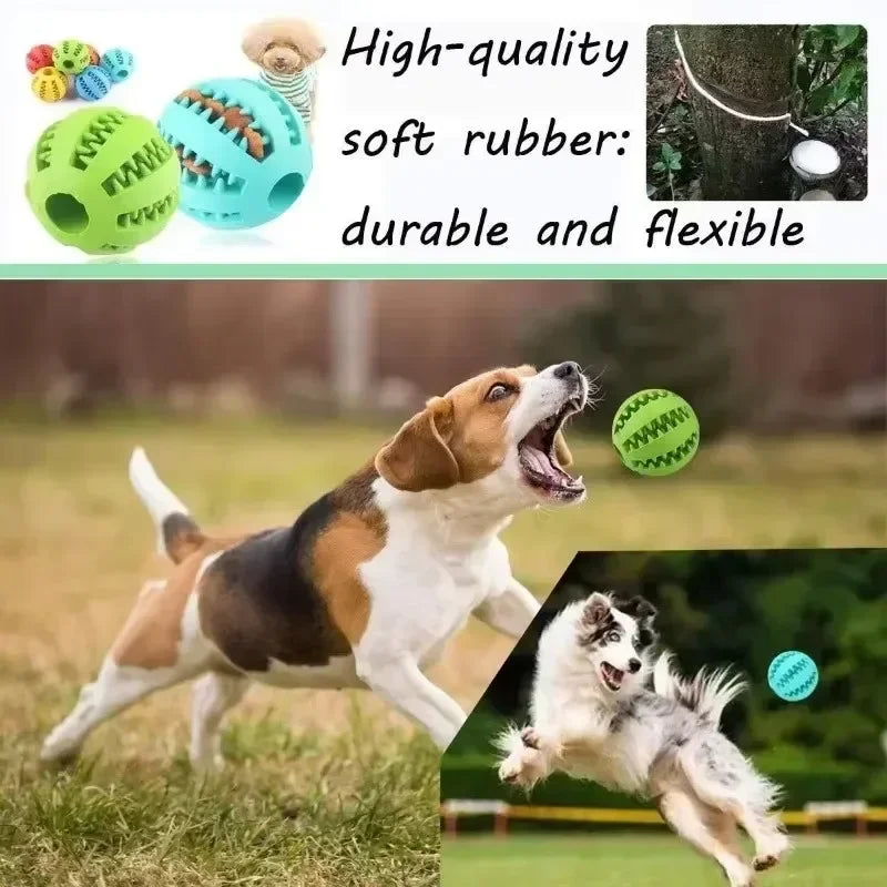 Dog Chew & Treat Ball