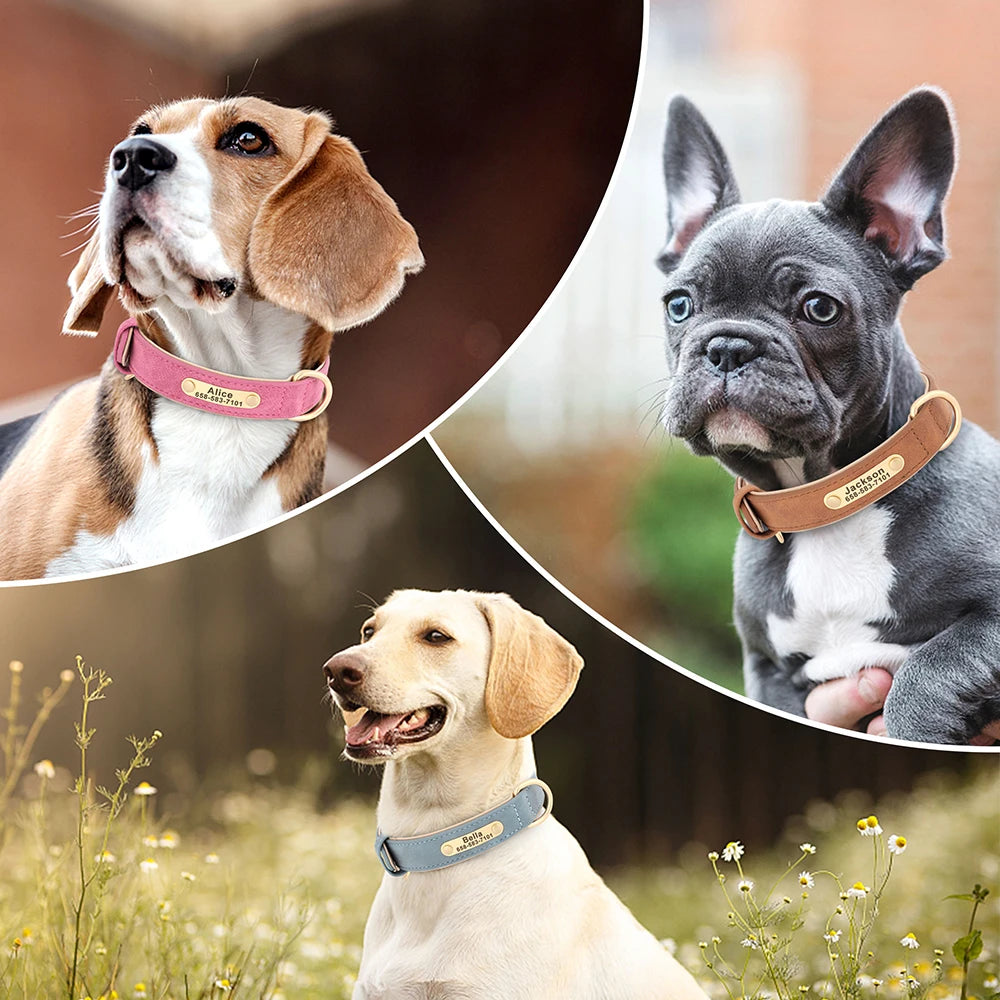 Dogs Custom ID Tag