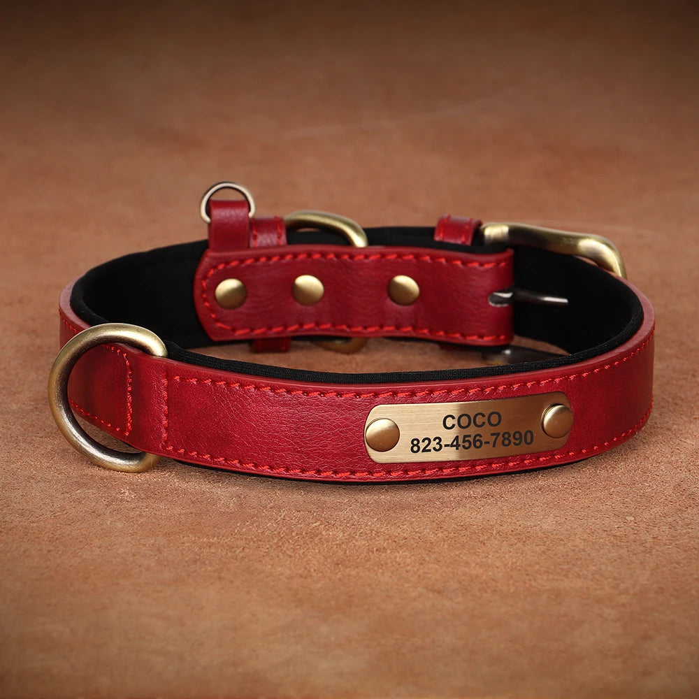 Dogs Custom ID Tag