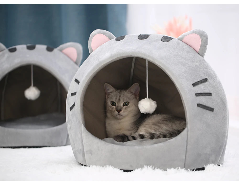 Kitten warm cave