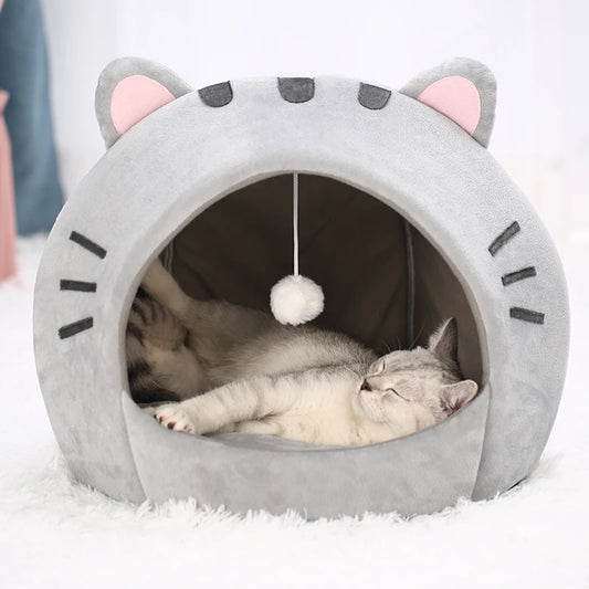 Kitten warm cave