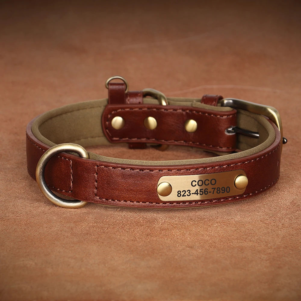 Dogs Custom ID Tag