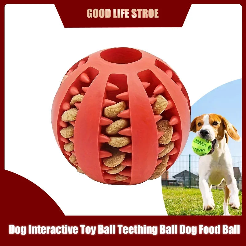 Dog Chew & Treat Ball