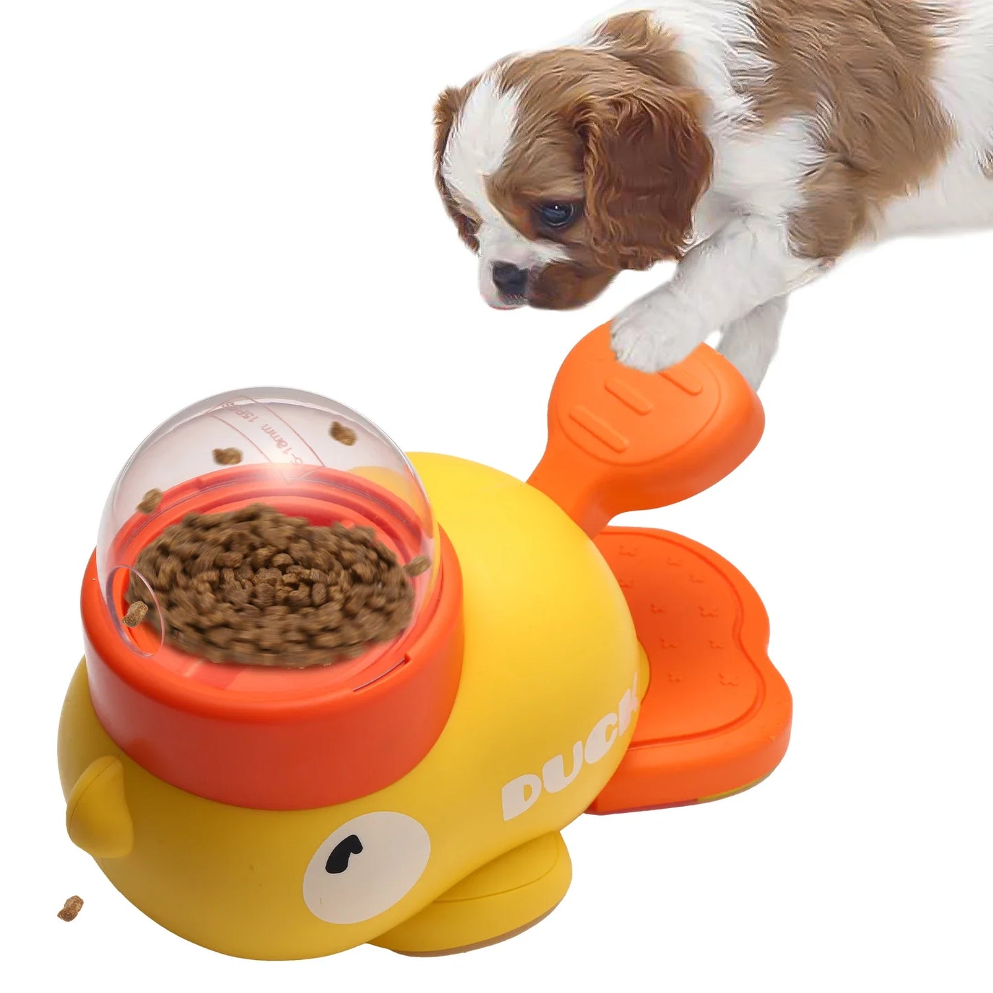 Pet Duck Feeder