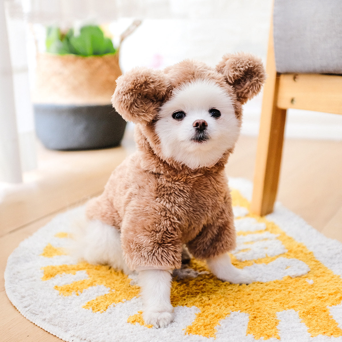 TEDDY BEAR COSTUME